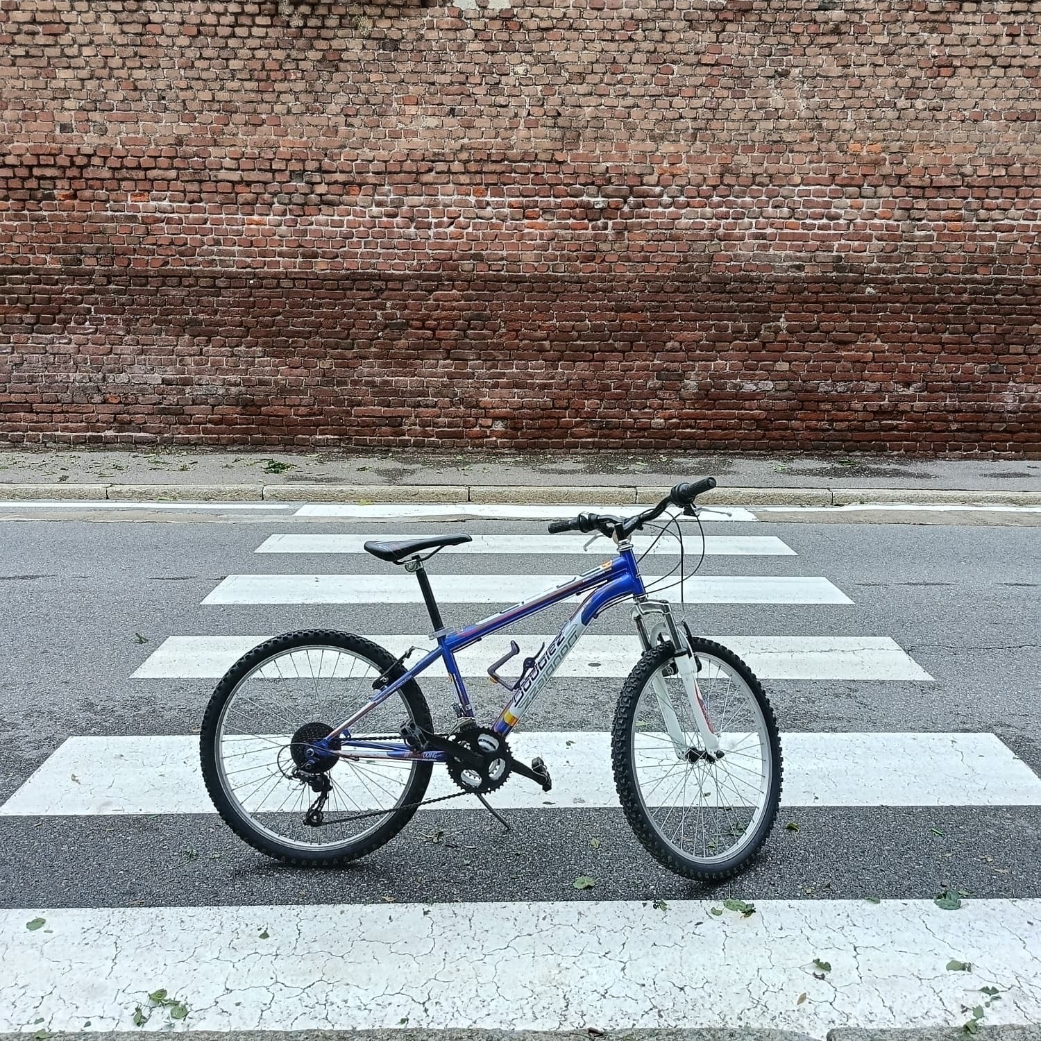 mountain bike 24" ricondizionata